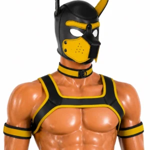 Arnés Bulldog Amarillo con Máscara y Collar